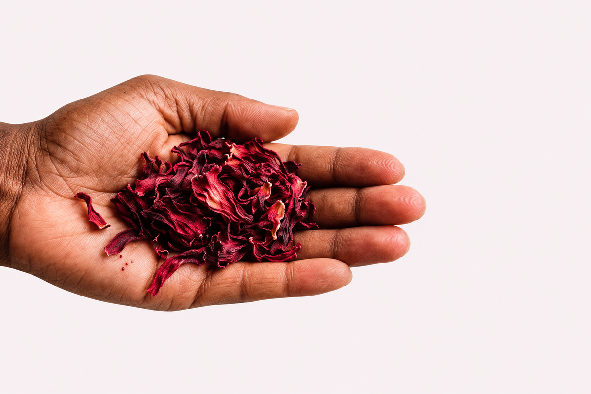 A hand holding dried hibiscus petals