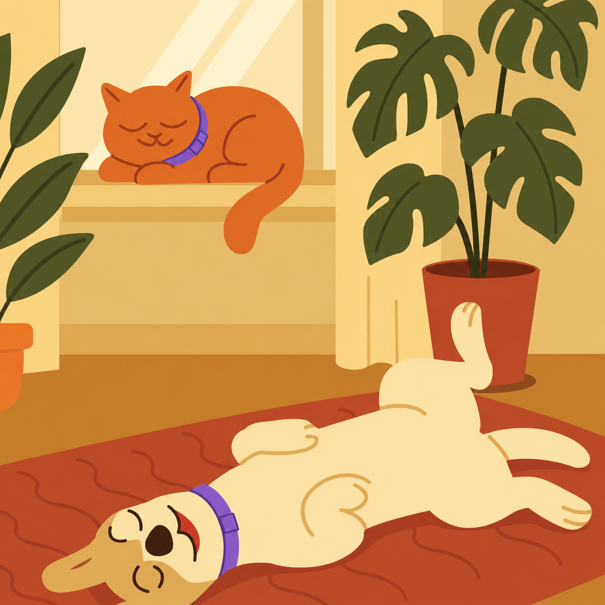 Helping Pets Feel More at Ease, Wherever Life Takes Them.